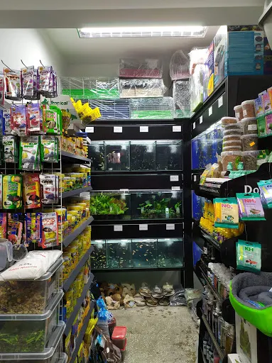 ZooCentrum 2 Koncertowa Lublin